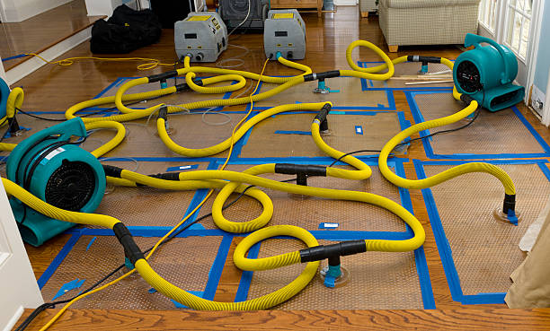 Professional Structural Drying And Dehumidification technician working in Seabrook, SC